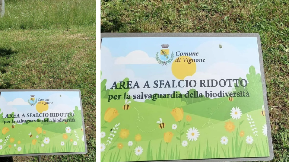 Vignone sceglie la natura: meno tagli, più biodiversità